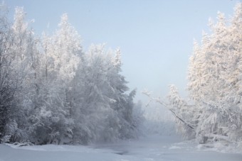 Sennheiser: шепот звезд в Сибири, Юрген Стаак делает звукозаписи в самом холодном населенном пункте на Земле